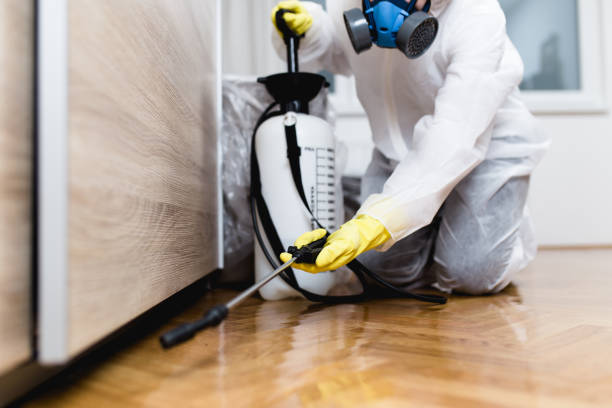 Best Pest Prevention Services  in Olney, IL