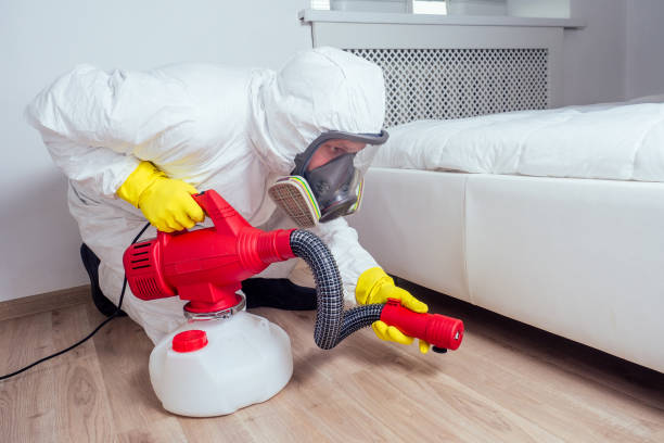 Best Spider Control Near Me  in Olney, IL