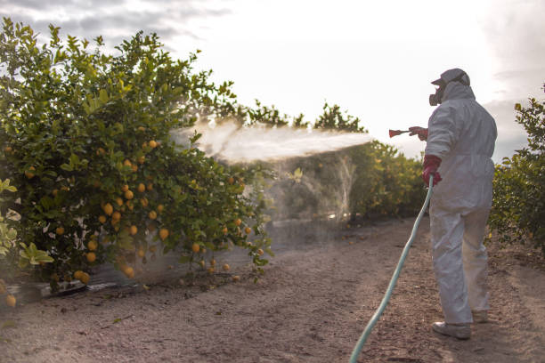 Best Pest Prevention Services  in Olney, IL