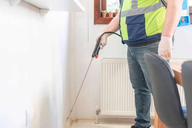 Best Wasp Removal Services  in Olney, IL