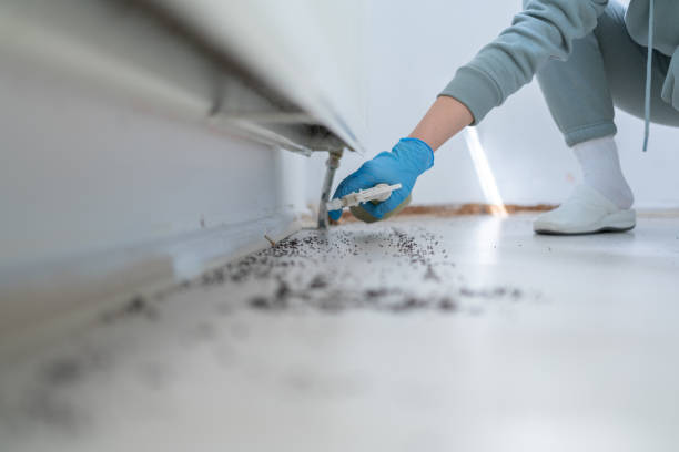 Best Cockroach Control Services  in Olney, IL